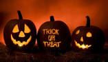 Trick or Treat Pumpkin image