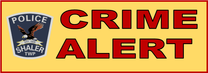 Crime Alert Logo