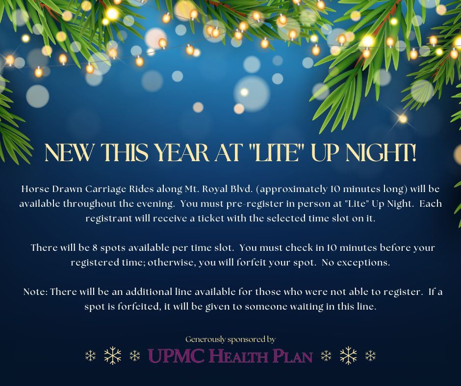 Lite Up Night - Carriage Rides