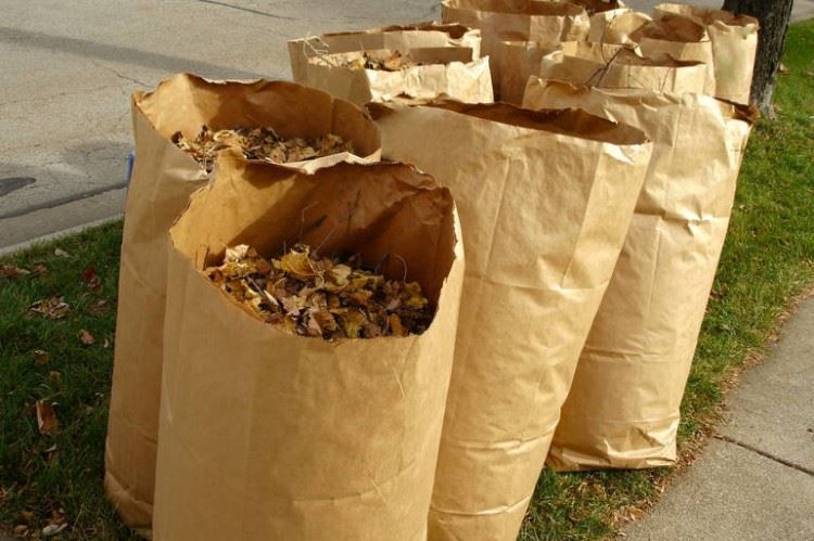 Yard Waste Bags
